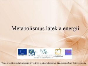 Metabolismus ltek a energi Tento projekt je spolufinancovn