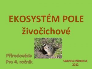 Ekosystém pole wikipedie