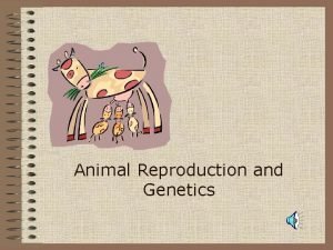Animal Reproduction and Genetics Terminology Objective Define terminology