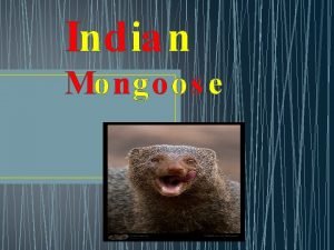 All about mongoose All about mongoose
