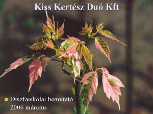 Kiss Kertsz Du Kft n Dszfaiskolai bemutat 2006