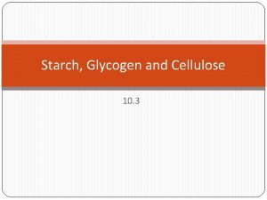 Starch and glycogen