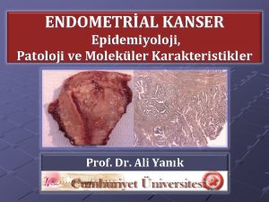 ENDOMETRAL KANSER Epidemiyoloji Patoloji ve Molekler Karakteristikler Prof