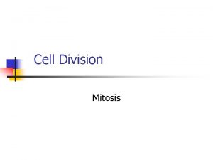 Cell Division Mitosis Cell Division Vocabulary Mitosis is