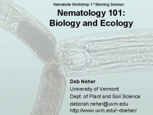 Nematode Workshop 1 st Morning Session Nematology 101