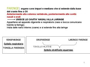 FARINGE organo cavo impari e mediano che si