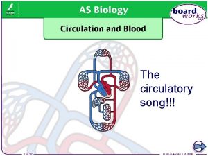 The circulatory song