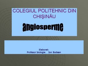 COLEGIUL POLITEHNIC DIN CHIINU Elaborat Profesor biologie Ion