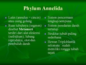 Peranan annelida