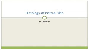 Histology of normal skin DR AHMADI Overview Epiderm