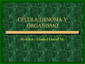 CLULA GENOMA Y ORGANISMO Profesor Manuel Daniel M