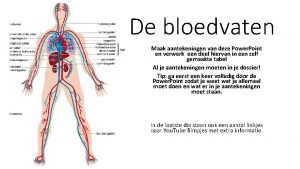 De bloedvaten Maak aantekeningen van deze Power Point