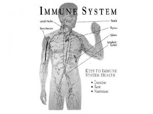 Elimination System Digestive system Immune system System Circulatory