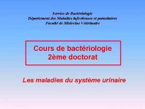 Service de Bactriologie Dpartement des Maladies infectieuses et