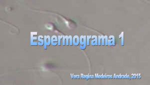 Exame de espermatograma
