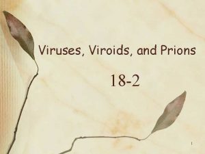 Viruses Viroids and Prions 18 2 1 Are