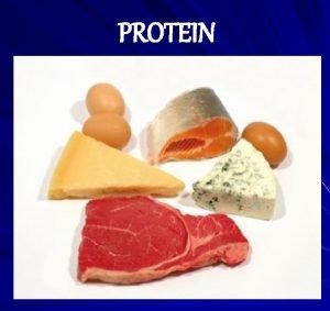 PROTEIN Makanan mengandung protein merupakan bagian penting untuk