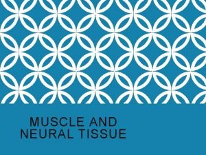Muscle and nervous tissue