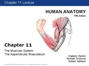 Chapter 1 11 Lecture HUMAN ANATOMY Fifth Edition