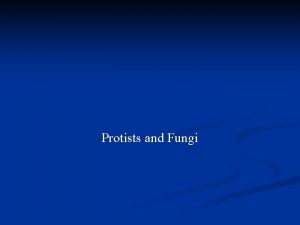 Protists and Fungi Protists n Protists One or
