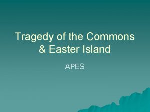 Easter island apes