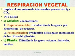 RESPIRACION VEGETAL Implica el mecanismo de intercambio gaseoso