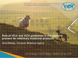 Role of VICH and VICH guidelines in the