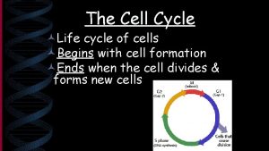 The Cell Cycle Life cycle of cells Begins