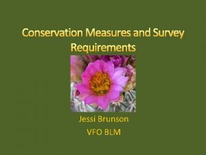 Conservation Measures and Survey Requirements Jessi Brunson VFO