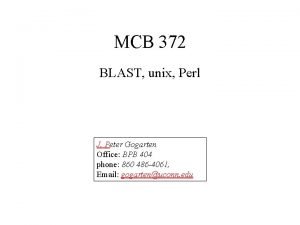 MCB 372 BLAST unix Perl J Peter Gogarten