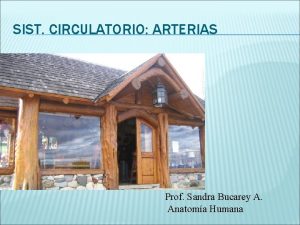 SIST CIRCULATORIO ARTERIAS Prof Sandra Bucarey A Anatoma