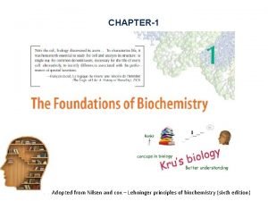 CHAPTER1 Adopted from Nilsen and cox Lehninger principles