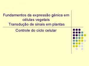 Fundamentos da expresso gnica em clulas vegetais Transduo