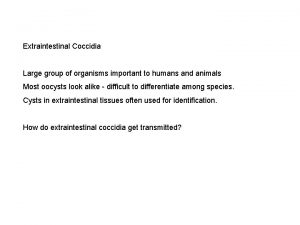 Extraintestinal Coccidia Large group of organisms important to