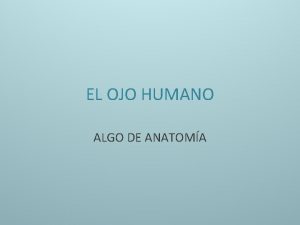 EL OJO HUMANO ALGO DE ANATOMA El ojo