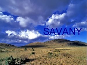 Typické rastliny savany