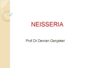 NEISSERIA Prof Dr Devran Gereker Neisseriaceae ailesi iinde