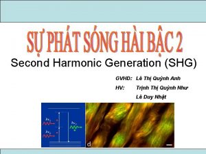 Second Harmonic Generation SHG GVHD L Th Qunh