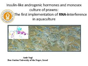 Insulinlike androgenic hormones and monosex culture of prawns