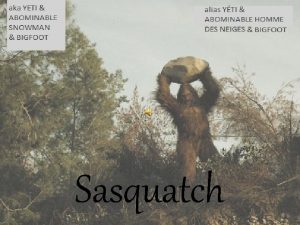 Sasquatch Sasquatch is a strong humanlike creature with