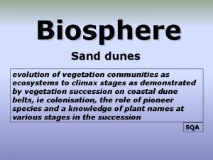 Biosphere Sand dunes evolution of vegetation communities as