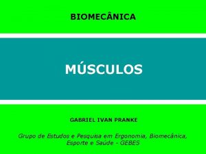 Composição dos musculos