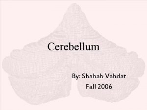 Cerebellum By Shahab Vahdat Fall 2006 General View
