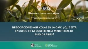 NEGOCIACIONES AGRCOLAS EN LA OMC QU EST EN