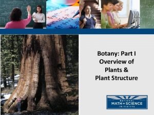 Botany Part I Overview of Plants Plant Structure