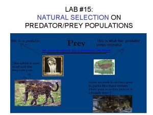 Natural selection Natural selection