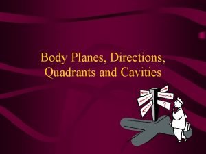 Body Planes Directions Quadrants and Cavities Foundation Standard