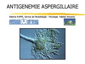 ANTIGENEMIE ASPERGILLAIRE Etienne RUPPE Service de Parasitologie Mycologie