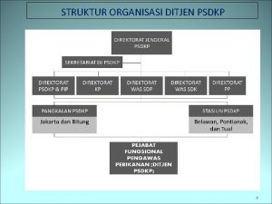 Struktur organisasi psdkp