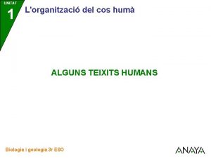 UNITAT 1 Lorganitzaci del cos hum ALGUNS TEIXITS